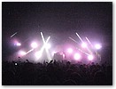 IMG_7999.JPG