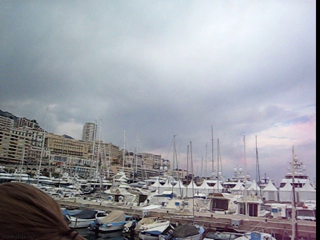 MVI_8844.jpg
