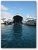 IMG_8816.JPG
