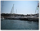 IMG_8822.JPG