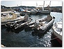 IMG_8916.JPG