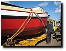 IMG_3510.JPG