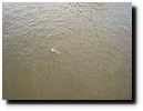 IMG_5283.JPG