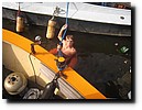 IMG_5376.JPG