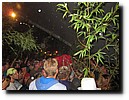 IMG_5743.JPG