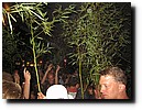 IMG_5789.JPG