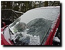 winterkamp2010 - 067.JPG