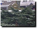 winterkamp2010 - 099.JPG