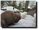 winterkamp2010 - 118.JPG