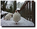 winterkamp2010 - 119.JPG
