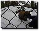 winterkamp2010 - 121.JPG