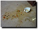 winterkamp2010 - 138.JPG