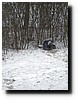 winterkamp2010 - 176.JPG