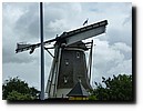 P1050747.JPG