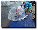 P1050780.JPG