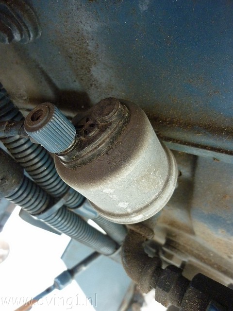 P1060230.JPG
Make: Panasonic
Model: DMC-ZX1
DateTime: 9-7-2010 9:42:48
EXIFImageWidth: 3264
ExifImageLength: 2448
Flash: No flash, compulsory flash suppression
ISOSpeedRatings: ISO 400
FocalLength: 4,5 mm