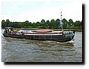 P1060608.JPG