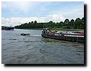 P1060609.JPG