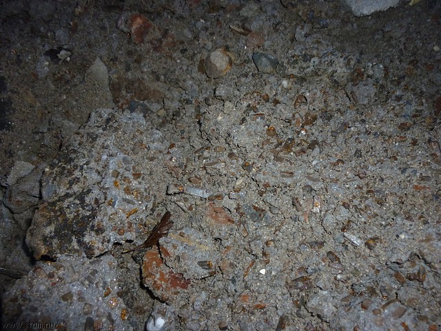 P1100869.JPG
Make: Panasonic
Model: DMC-ZX1
DateTime: 21-11-2010 16:46:51
EXIFImageWidth: 3264
ExifImageLength: 2448
Flash: Fired, auto mode
ISOSpeedRatings: ISO 160
FocalLength: 4,5 mm