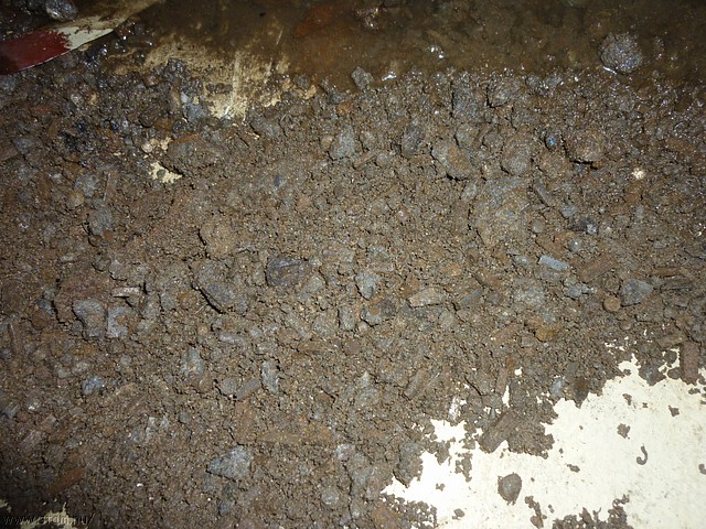 P1100872.JPG
Make: Panasonic
Model: DMC-ZX1
DateTime: 21-11-2010 16:47:19
EXIFImageWidth: 3264
ExifImageLength: 2448
Flash: Fired, auto mode
ISOSpeedRatings: ISO 100
FocalLength: 4,5 mm