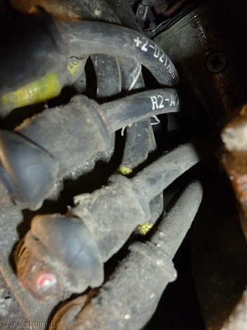 P1110010.JPG
Make: Panasonic
Model: DMC-ZX1
DateTime: 30-11-2010 23:21:48
EXIFImageWidth: 3264
ExifImageLength: 2448
Flash: Fired, auto mode
ISOSpeedRatings: ISO 400
FocalLength: 4,5 mm