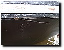 P1000046.JPG