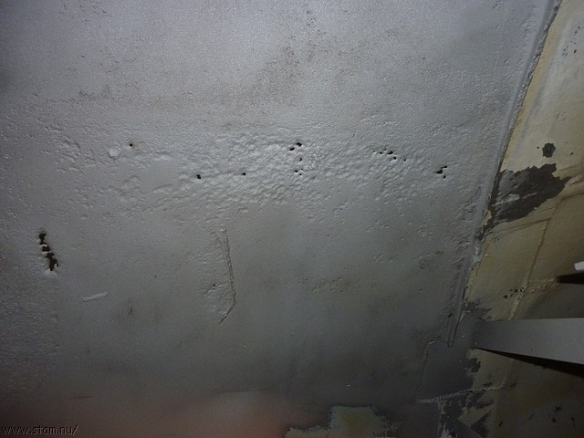 P1120223.JPG
Make: Panasonic
Model: DMC-ZX1
DateTime: 23-3-2011 13:03:17
EXIFImageWidth: 3264
ExifImageLength: 2448
Flash: Fired, auto mode
ISOSpeedRatings: ISO 200
FocalLength: 4,5 mm