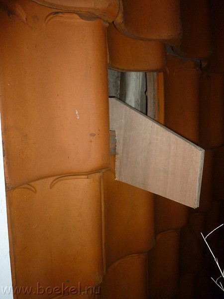 P1190707.JPG
Make: Panasonic
Model: DMC-ZX1
DateTime: 24-1-2012 18:35:07
EXIFImageWidth: 3264
ExifImageLength: 2448
Flash: Fired, auto mode
ISOSpeedRatings: ISO 320
FocalLength: 4,5 mm