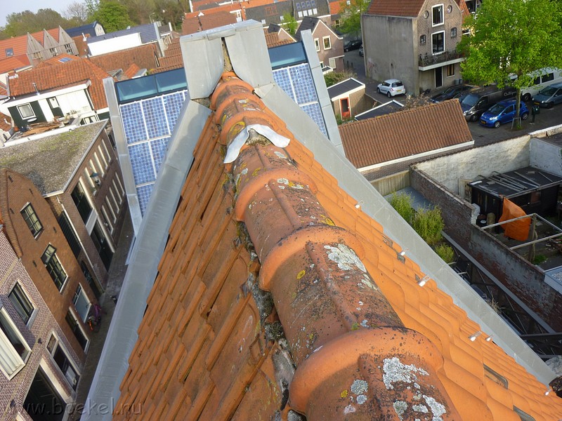 P1210535.JPG
Make: Panasonic
Model: DMC-ZX1
DateTime: 2-5-2012 18:09:40
EXIFImageWidth: 3264
ExifImageLength: 2448
Flash: No flash, auto mode
ISOSpeedRatings: ISO 80
FocalLength: 4,5 mm