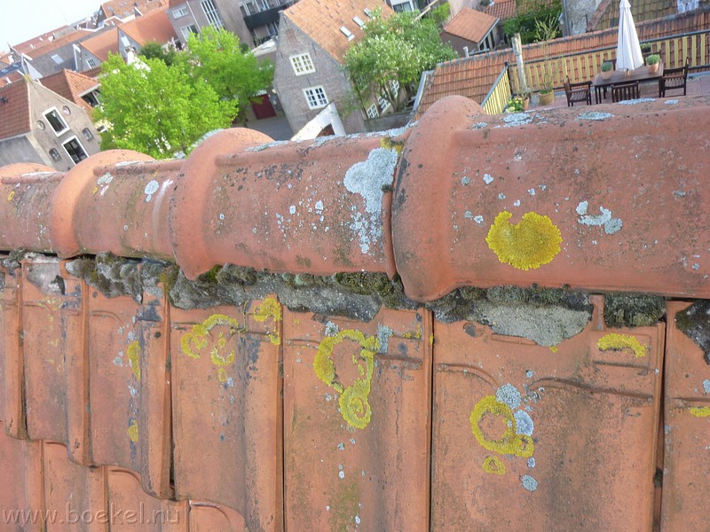 P1210536.JPG
Make: Panasonic
Model: DMC-ZX1
DateTime: 2-5-2012 18:09:45
EXIFImageWidth: 3264
ExifImageLength: 2448
Flash: No flash, auto mode
ISOSpeedRatings: ISO 125
FocalLength: 4,5 mm