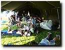 P1230500.JPG