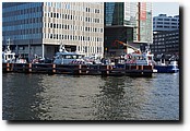P4291619.JPG