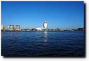 P4291620.JPG