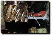 P3108740b.JPG
