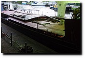 P5099173.JPG