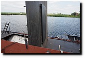 P5309429.JPG