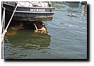 P7230779.JPG