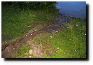 P7281191.JPG