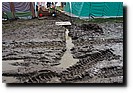 P7291198.JPG