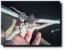 20140803_093651.jpg