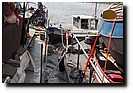 P8021417.JPG