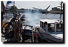 P8031432.JPG