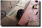P7040411.JPG
