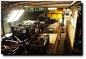 P7110463.JPG