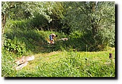 P7130487.JPG