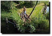 P7130490.JPG