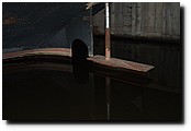 P7140524.JPG