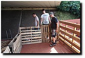 P7160544.JPG
