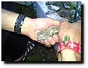 20140816_132738.jpg