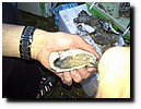 20140816_132756.jpg